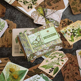 50 pcs/lot Vintage painting animal Tag mini message cards thank you card festival greeting postcard kids gift