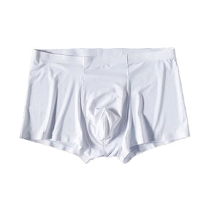 Seamless Men Boxers Luxury Silk Antibacterial Boxers Underwear Boxer Spandex 3D Crotch Boxer Nylon Underwear Shorts Slips XXXL